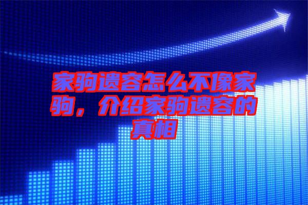 家駒遺容怎么不像家駒，介紹家駒遺容的真相