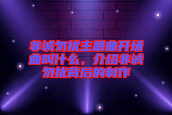 非誠(chéng)勿擾主題曲開(kāi)場(chǎng)曲叫什么，介紹非誠(chéng)勿擾背后的制作