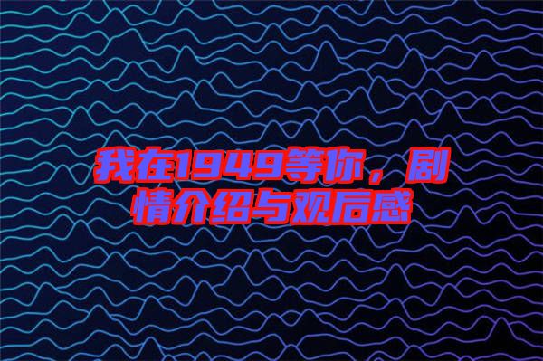 我在1949等你，劇情介紹與觀后感