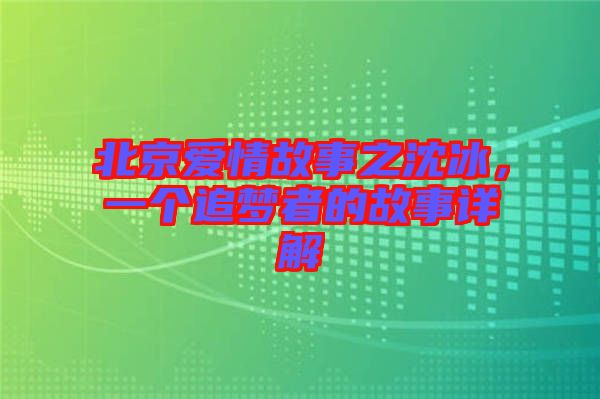 北京愛情故事之沈冰，一個(gè)追夢(mèng)者的故事詳解