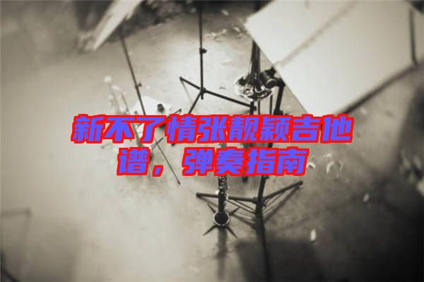 新不了情張靚穎吉他譜，彈奏指南