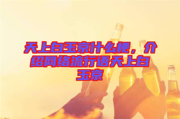 天上白玉京什么梗，介紹網(wǎng)絡(luò)流行語天上白玉京