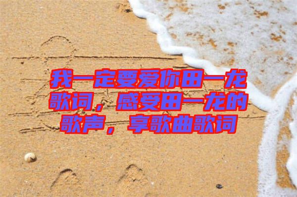 我一定要愛你田一龍歌詞，感受田一龍的歌聲，享歌曲歌詞