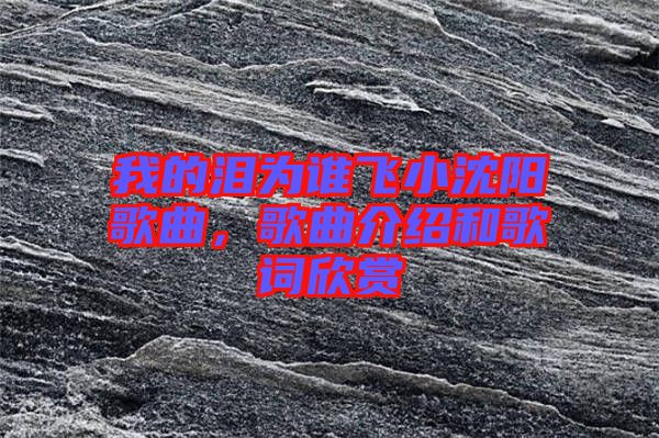 我的淚為誰(shuí)飛小沈陽(yáng)歌曲，歌曲介紹和歌詞欣賞