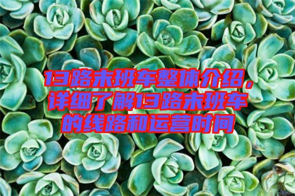 13路末班車整體介紹，詳細(xì)了解13路末班車的線路和運(yùn)營(yíng)時(shí)間