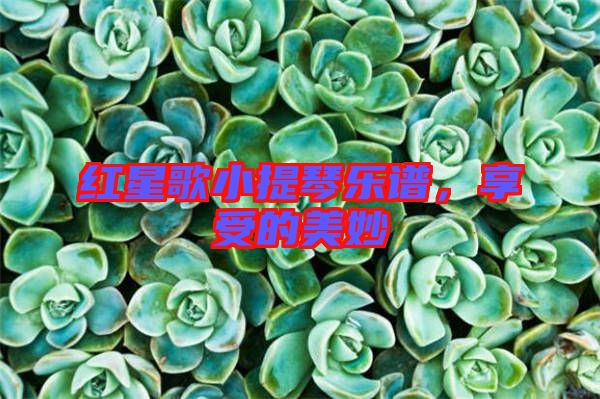 紅星歌小提琴樂譜，享受的美妙