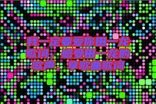 我一定要愛你田一龍歌詞，感受田一龍的歌聲，享歌曲歌詞