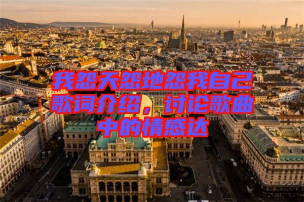 我怨天怨地怨我自己歌詞介紹，討論歌曲中的情感達(dá)