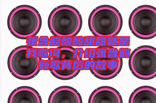 張含韻酸酸甜甜就是我歌詞，介紹張含韻新歌背后的故事