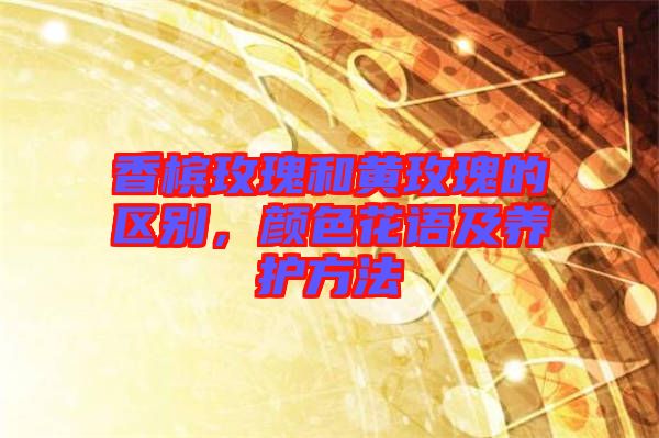 香檳玫瑰和黃玫瑰的區(qū)別，顏色花語及養(yǎng)護(hù)方法