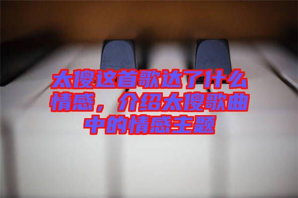 太傻這首歌達(dá)了什么情感，介紹太傻歌曲中的情感主題