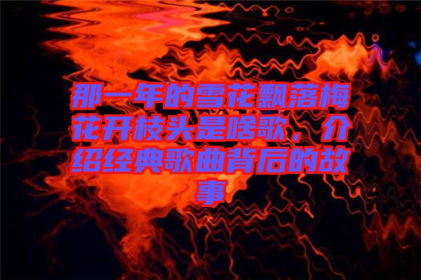 那一年的雪花飄落梅花開枝頭是啥歌，介紹經(jīng)典歌曲背后的故事