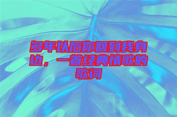 多年以后你回到我身邊，一首經(jīng)典情歌的歌詞