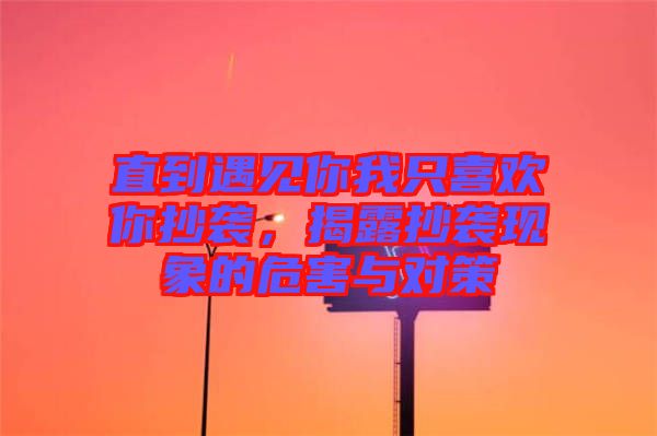 直到遇見你我只喜歡你抄襲，揭露抄襲現(xiàn)象的危害與對策