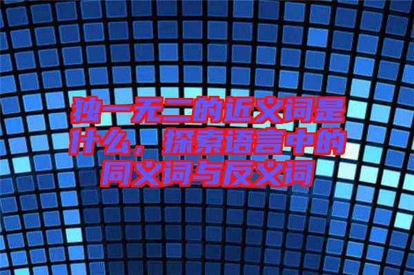 獨(dú)一無(wú)二的近義詞是什么，探索語(yǔ)言中的同義詞與反義詞