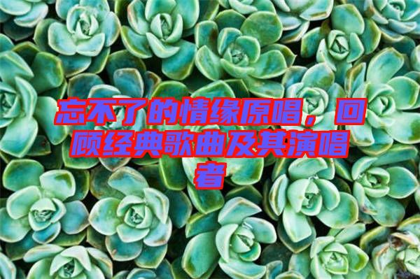 忘不了的情緣原唱，回顧經(jīng)典歌曲及其演唱者