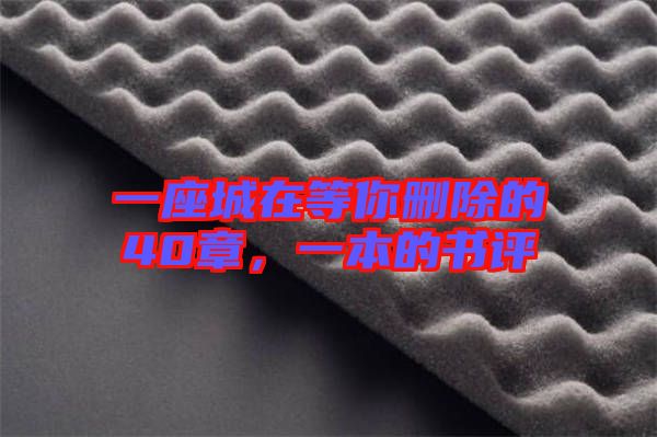 一座城在等你刪除的40章，一本的書評