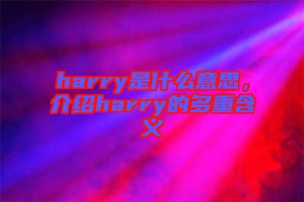 harry是什么意思，介紹harry的多重含義