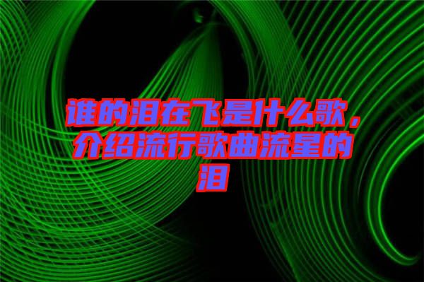 誰的淚在飛是什么歌，介紹流行歌曲流星的淚