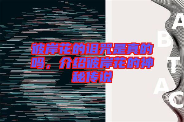 彼岸花的詛咒是真的嗎，介紹彼岸花的神秘傳說