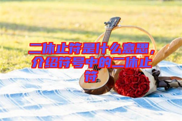 二休止符是什么意思，介紹符號(hào)中的二休止符