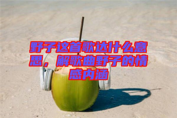 野子這首歌達(dá)什么意思，解歌曲野子的情感內(nèi)涵
