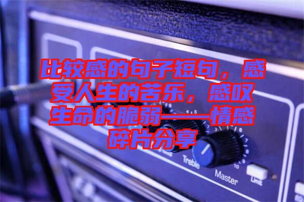 比較感的句子短句，感受人生的苦樂，感嘆生命的脆弱——情感碎片分享