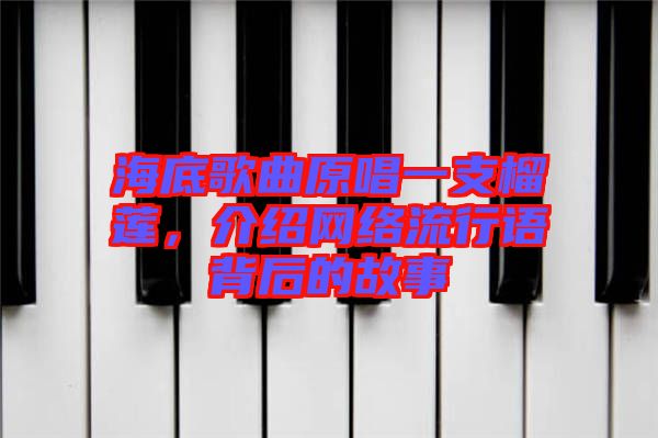 海底歌曲原唱一支榴蓮，介紹網(wǎng)絡(luò)流行語背后的故事