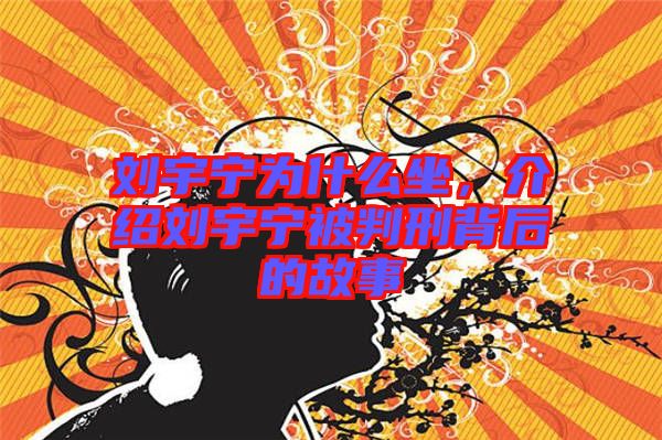 劉宇寧為什么坐，介紹劉宇寧被判刑背后的故事