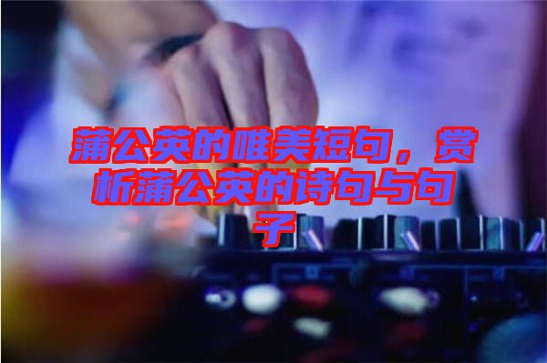 蒲公英的唯美短句，賞析蒲公英的詩句與句子