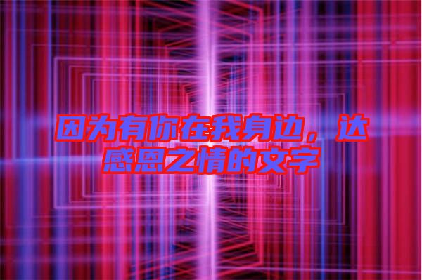 因?yàn)橛心阍谖疑磉?，達(dá)感恩之情的文字