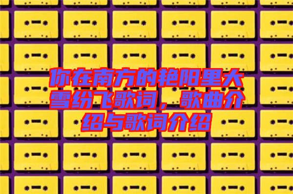 你在南方的艷陽(yáng)里大雪紛飛歌詞，歌曲介紹與歌詞介紹