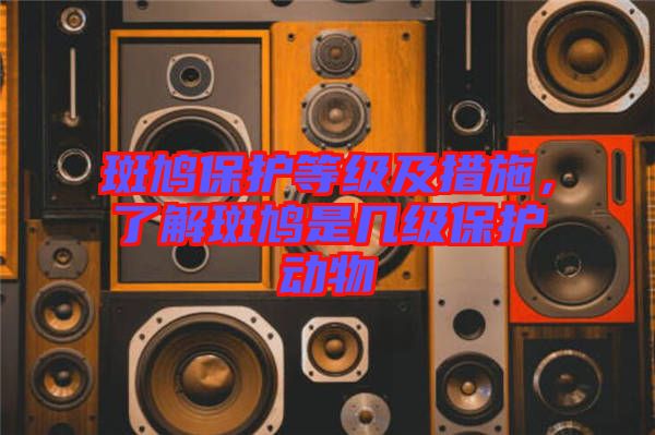 斑鳩保護等級及措施，了解斑鳩是幾級保護動物