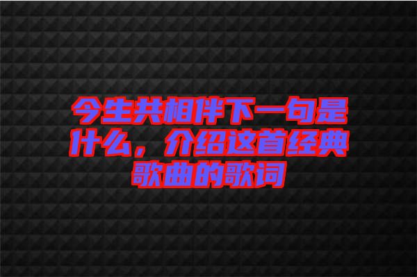 今生共相伴下一句是什么，介紹這首經典歌曲的歌詞