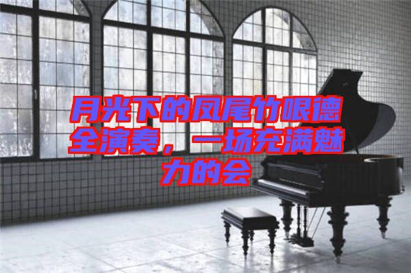 月光下的鳳尾竹哏德全演奏，一場(chǎng)充滿魅力的會(huì)