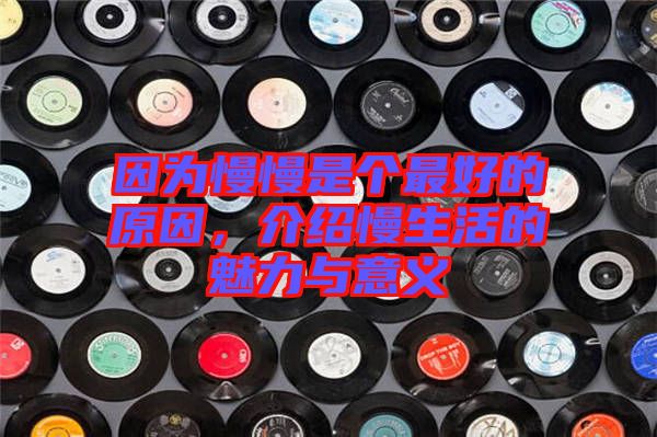 因?yàn)槁莻€(gè)最好的原因，介紹慢生活的魅力與意義