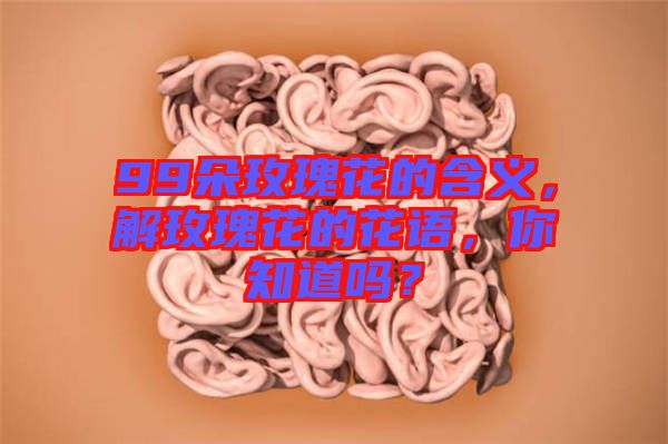 99朵玫瑰花的含義，解玫瑰花的花語，你知道嗎？