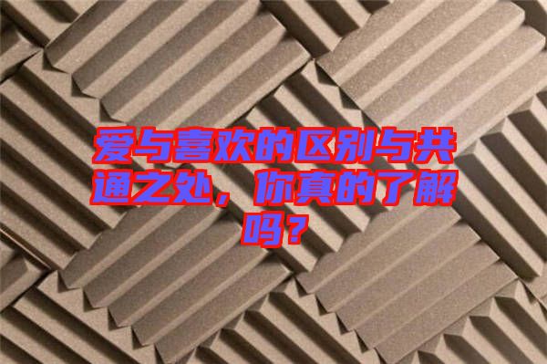 愛(ài)與喜歡的區(qū)別與共通之處，你真的了解嗎？