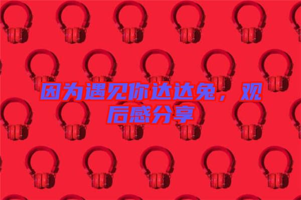 因?yàn)橛鲆娔氵_(dá)達(dá)兔，觀后感分享