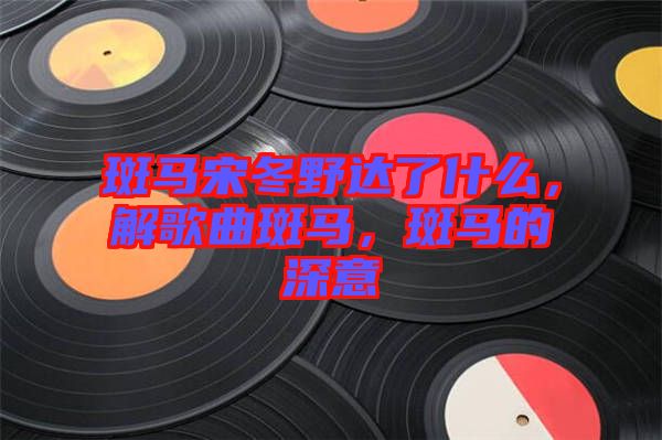 斑馬宋冬野達(dá)了什么，解歌曲斑馬，斑馬的深意