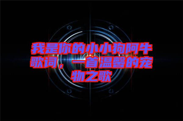 我是你的小小狗阿牛歌詞，一首溫馨的寵物之歌