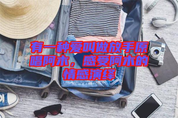 有一種愛叫做放手原唱阿木，感受阿木的情感演繹