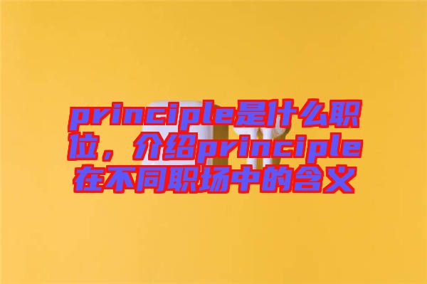 principle是什么職位，介紹principle在不同職場中的含義