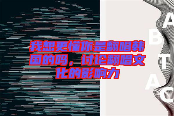 我想更懂你是翻唱韓國的嗎，討論翻唱文化的影響力