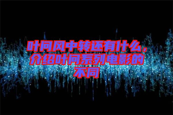 葉問風中轉(zhuǎn)還有什么，介紹葉問系列電影的不同