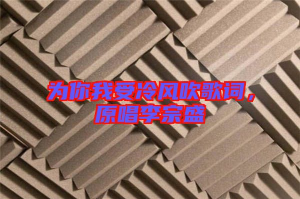 為你我受冷風(fēng)吹歌詞，原唱李宗盛