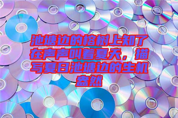 池塘邊的榕樹上知了在聲聲叫著夏天，描寫夏日池塘邊的生機(jī)盎然