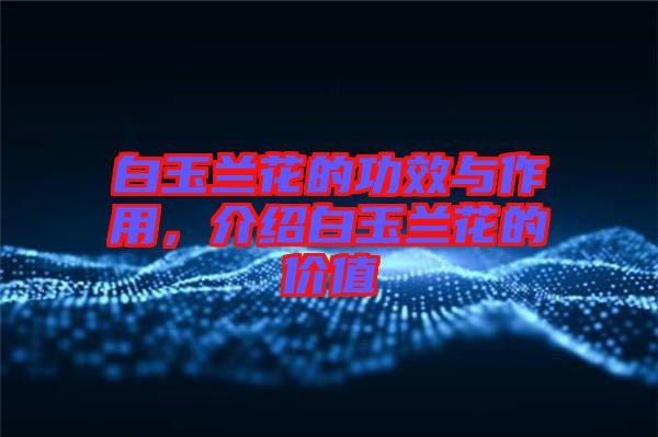 白玉蘭花的功效與作用，介紹白玉蘭花的價(jià)值