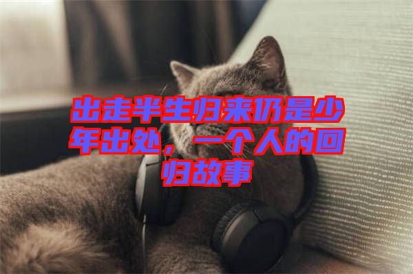 出走半生歸來仍是少年出處，一個人的回歸故事