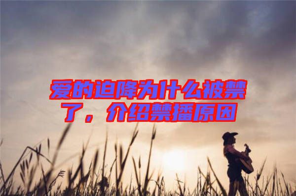 愛的迫降為什么被禁了，介紹禁播原因